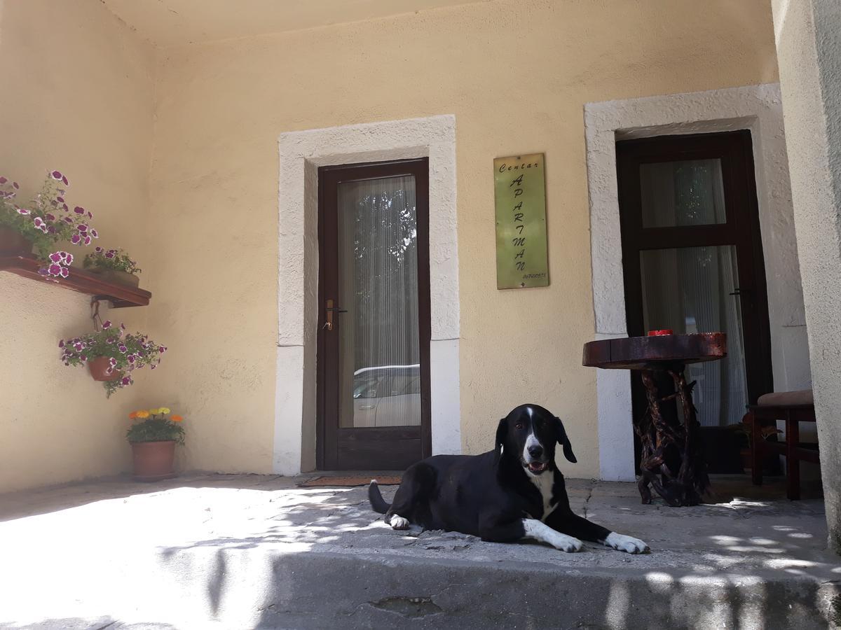 Apartman Centar Cetinje Dış mekan fotoğraf