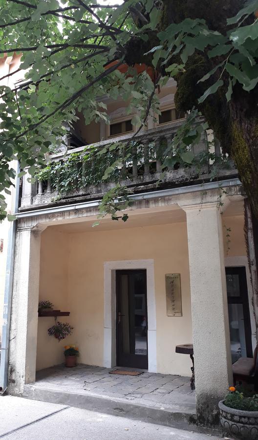 Apartman Centar Cetinje Dış mekan fotoğraf